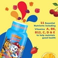 thumbnail image 3 of L'il Critters Paw Patrol Children's Multivitamin Gummies, With 11 Essential Nutrients, Naturally Sourced Colors & 5 Delicious Flavors 190 Count, 3 of 5