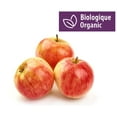 thumbnail image 1 of Pomme Macintosh organique, 1 of 1