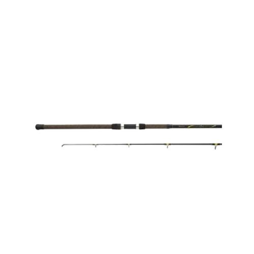 black beauty surf rod