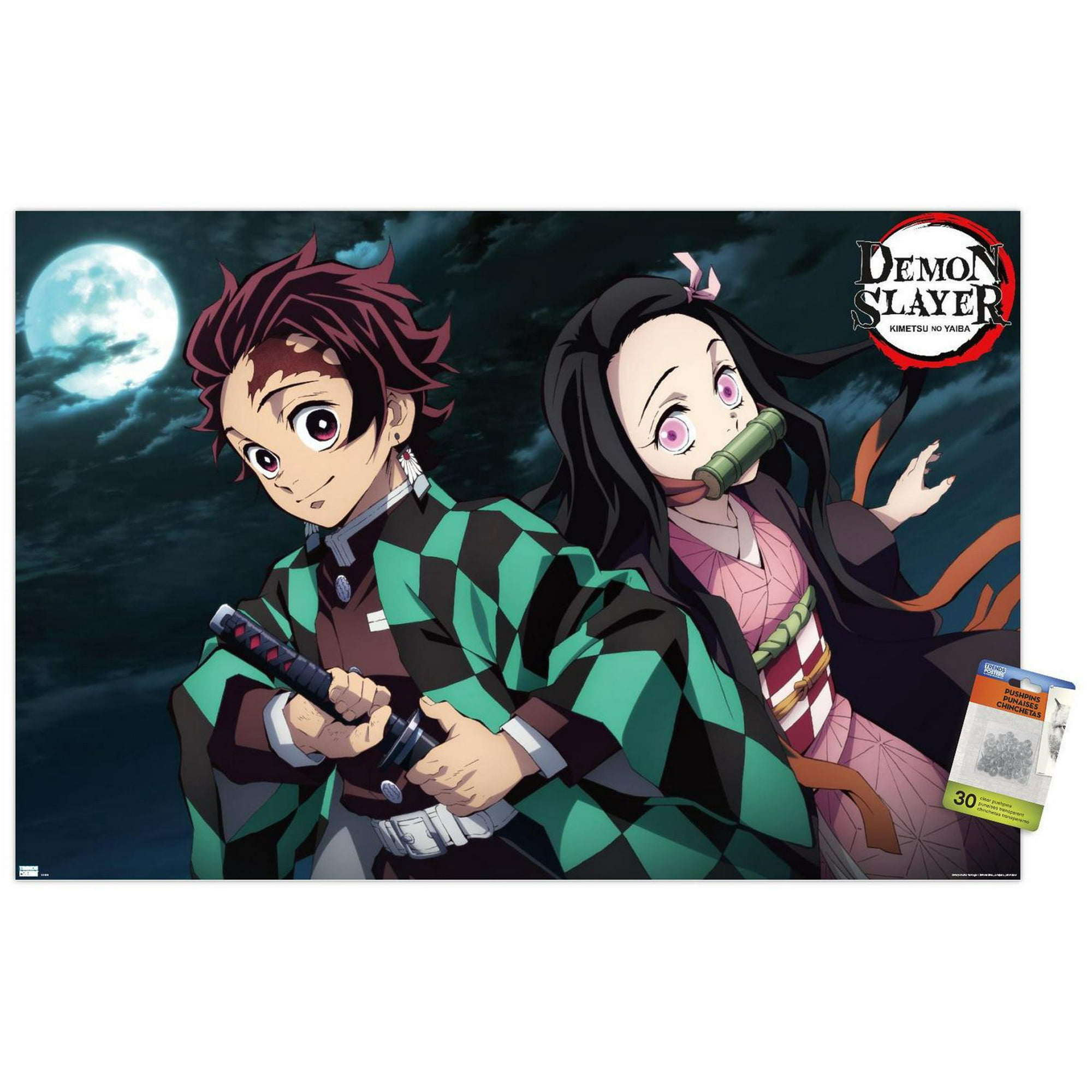 Demon Slayer - Tanjiro & Nezuko Night 22.375