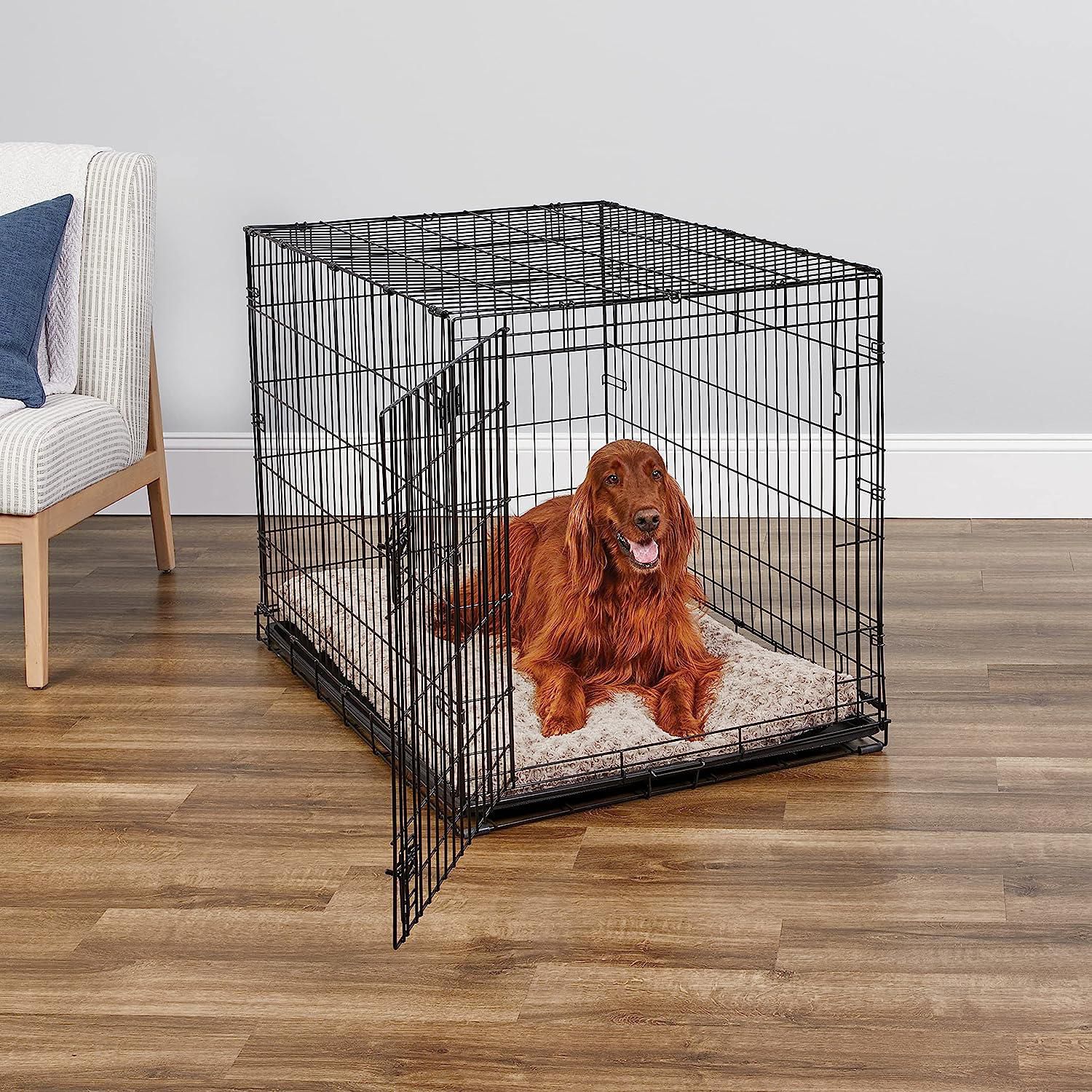 Midwest single 2025 door dog crate