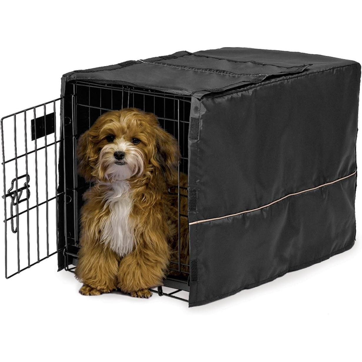 Dog shop crate time