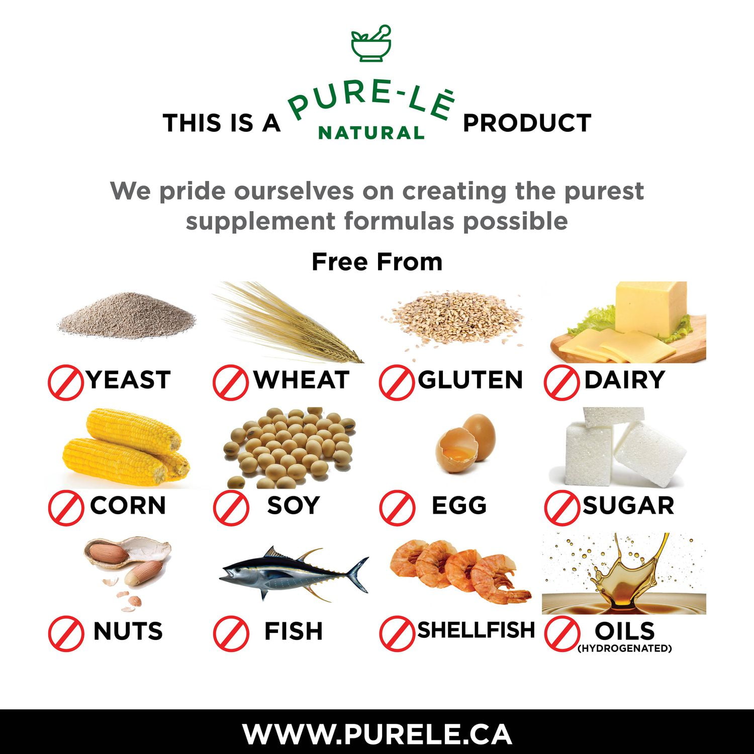 Gouttes de vitamine D2 végétaliennes pour adultes Pure-lē Natural