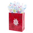 thumbnail image 1 of Sac-cadeau moyen avec papier de soie Hallmark, 1 of 4