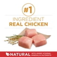 thumbnail image 3 of Purina ONE Chicken & Rice Formula, Dry Dog Food, 3 of 9