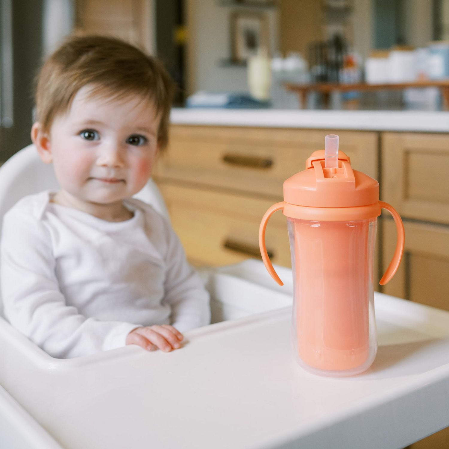 Parent’s Choice Insulated Sippy Cup with Straw and Handles, 300 mL, 2 pack, 12m+, 12 months+, 300 mL, 2 pack