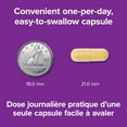 thumbnail image 4 of Webber Naturals® B50 Complex, 4 of 9