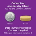 thumbnail image 4 of Webber Naturals Complexe B100, 4 of 10
