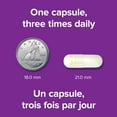thumbnail image 4 of Webber Naturals Sulfate de Glucosamine, 500 mg, 4 of 10