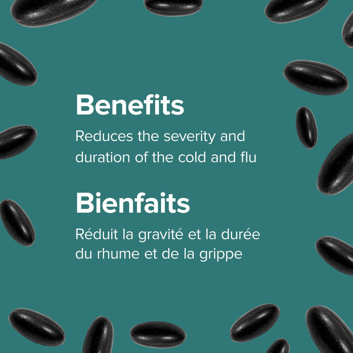 Webber Naturals Échinacée, Plante intégrale, 500 mg