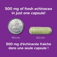 thumbnail image 4 of Webber Naturals® Echinacea, Full Spectrum Herb, 500 mg, 4 of 10