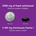 thumbnail image 4 of Webber Naturals® Echinacea Triple Standardized, 2100 mg, 4 of 10