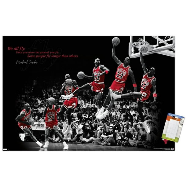 Michael Jordan Posters – Sports Poster Warehouse