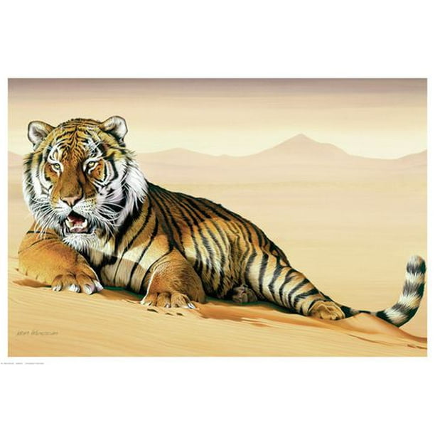 Messom - Tigre dans le sable