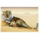 Messom - Tigre dans le sable – image 1 sur 1