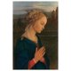 Lippi - Vergine Adorazione – image 1 sur 1