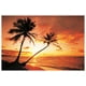 Tropical Beach - coucher du soleil – image 1 sur 1