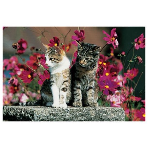 Deux chats sur un piédestal