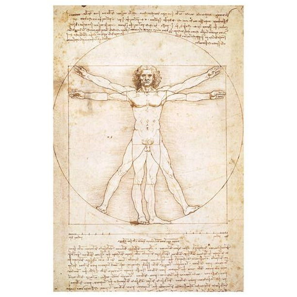 Da Vinci - Homme de Vitruve