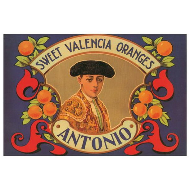 Sweet Antonio Valencia Oranges