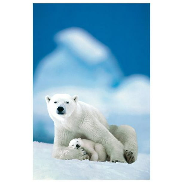 Ours polaire et son bébé