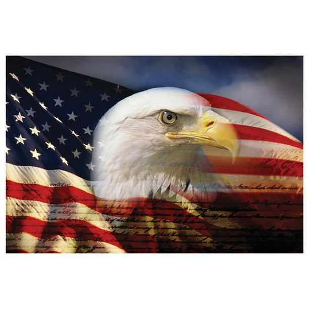 Aigle chauve et le drapeau américain