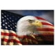 Aigle chauve et le drapeau américain – image 1 sur 1