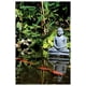Ringlever - Jardin de Bouddha – image 1 sur 1