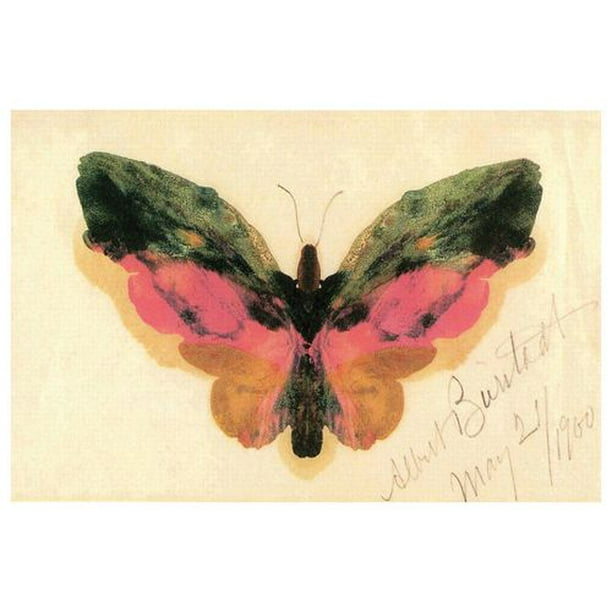 Bierstadt - Papillon