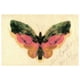 Bierstadt - Papillon – image 1 sur 1
