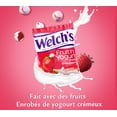 thumbnail image 4 of Welch's Fruit n' Yogurt Snacks, 4 of 6