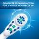 Brossettes de rechange pour brosse à dents à pile Oral-B Nettoyage en profondeu 2&nbsp;unités – image 4 sur 8