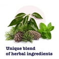 thumbnail image 4 of Sirop antitussif Buckley Toux sèche Extra fort, 250 mL, 4 of 5