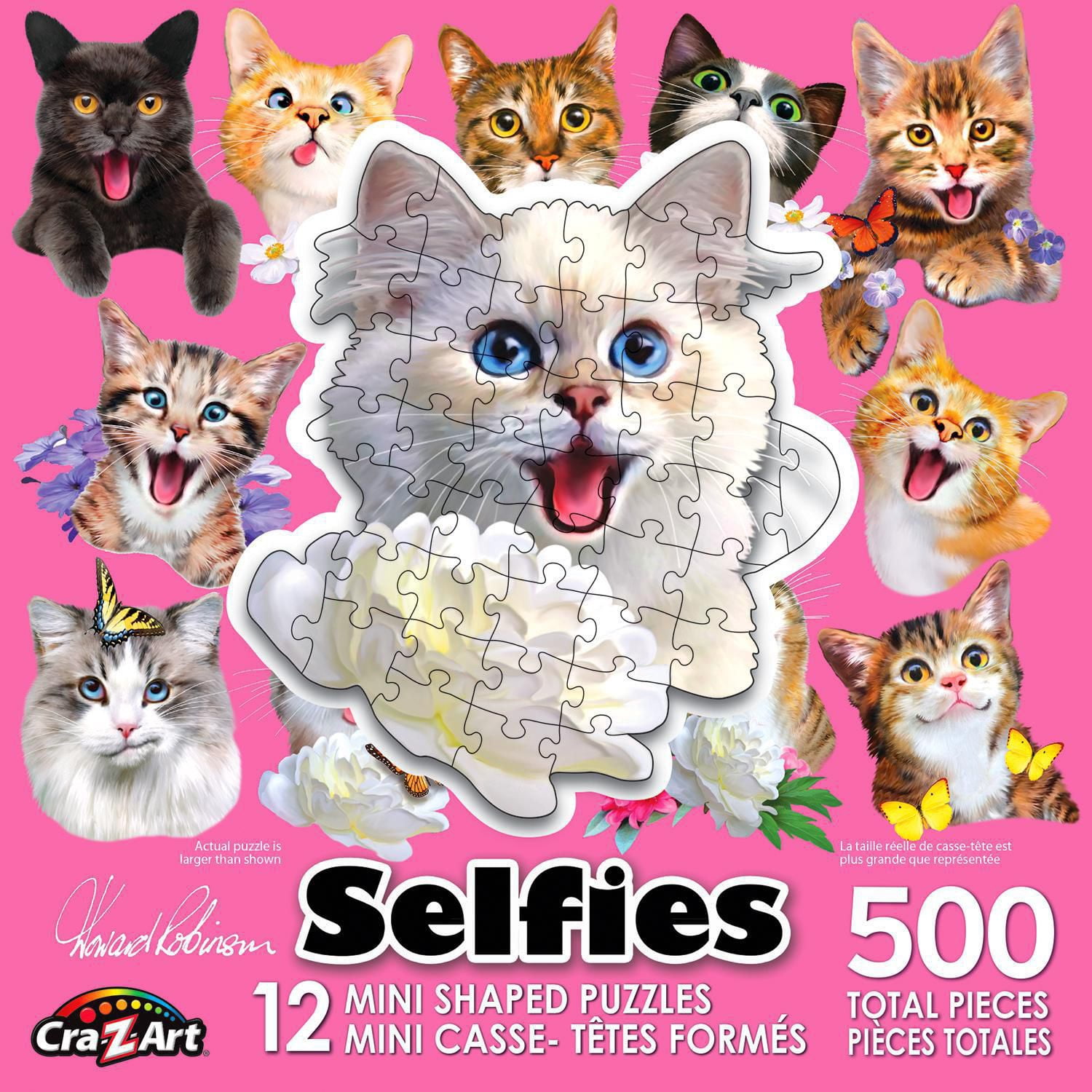 cat selfie puzzle