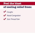 thumbnail image 4 of BUCKLEY'S Soothing Mixture Syrup for Cough, Congestion & Sore Throat, 150ml, 4 of 6