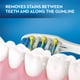 Brosses à dents à pile blanchissantes Oral-B Pulsar, souple 2&nbsp;unités – image 5 sur 8