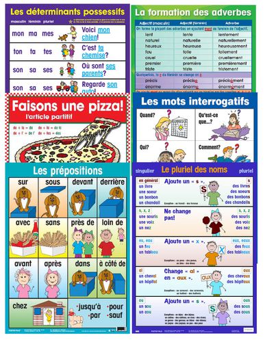 calendrier 2024 chien comique poster affiche plastifiée 30 x 40 cm réf 25