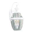 thumbnail image 1 of Monterey 2-Light Snow Outdoor Wall Lantern, 1 of 1