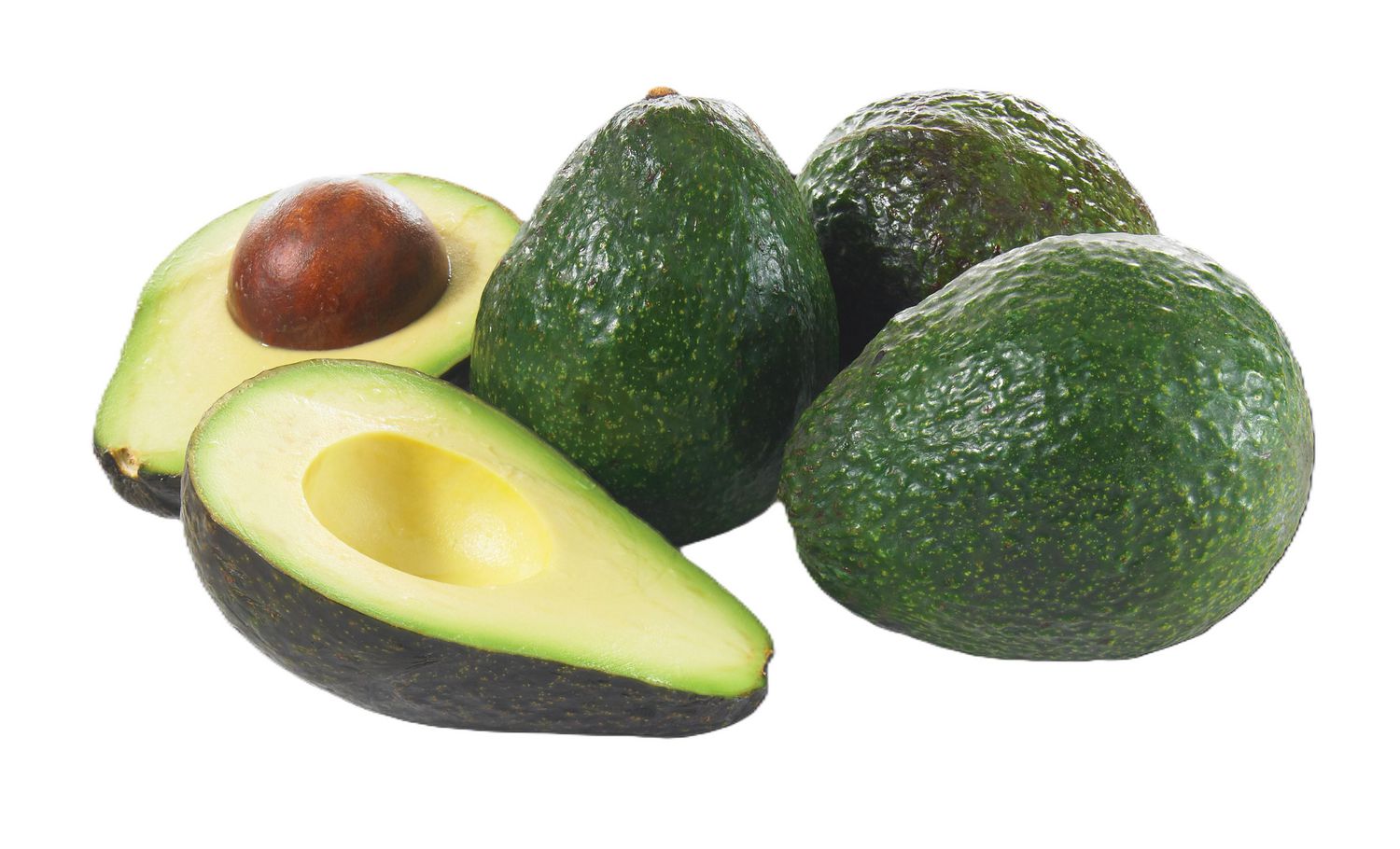 Avocado, Pack of 5