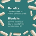 thumbnail image 3 of Webber Naturals® Probiotic IBS Support, 3 of 11