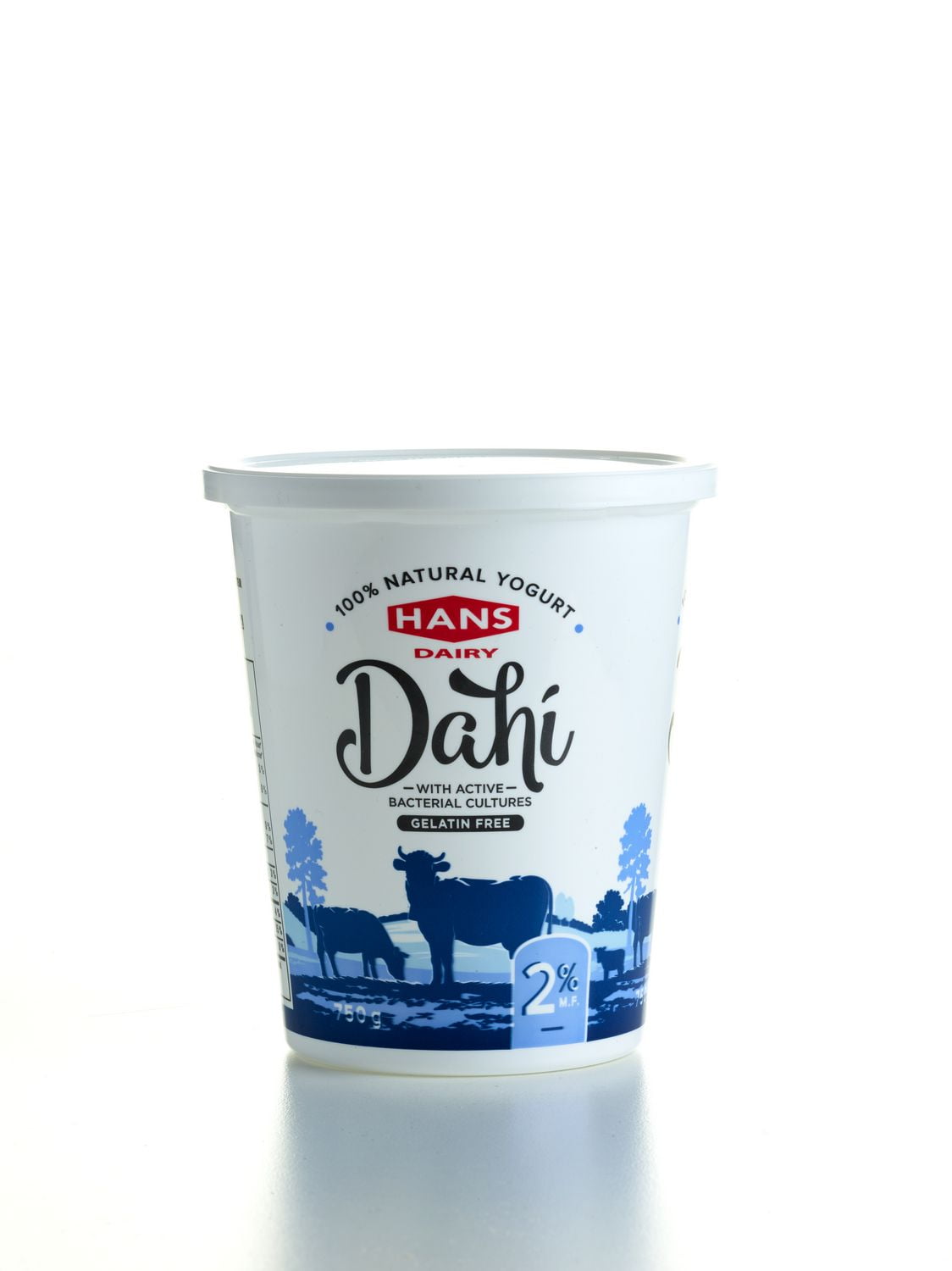 Hans Dairy Dahi 2 M.F. Natural Yogurt Walmart Canada