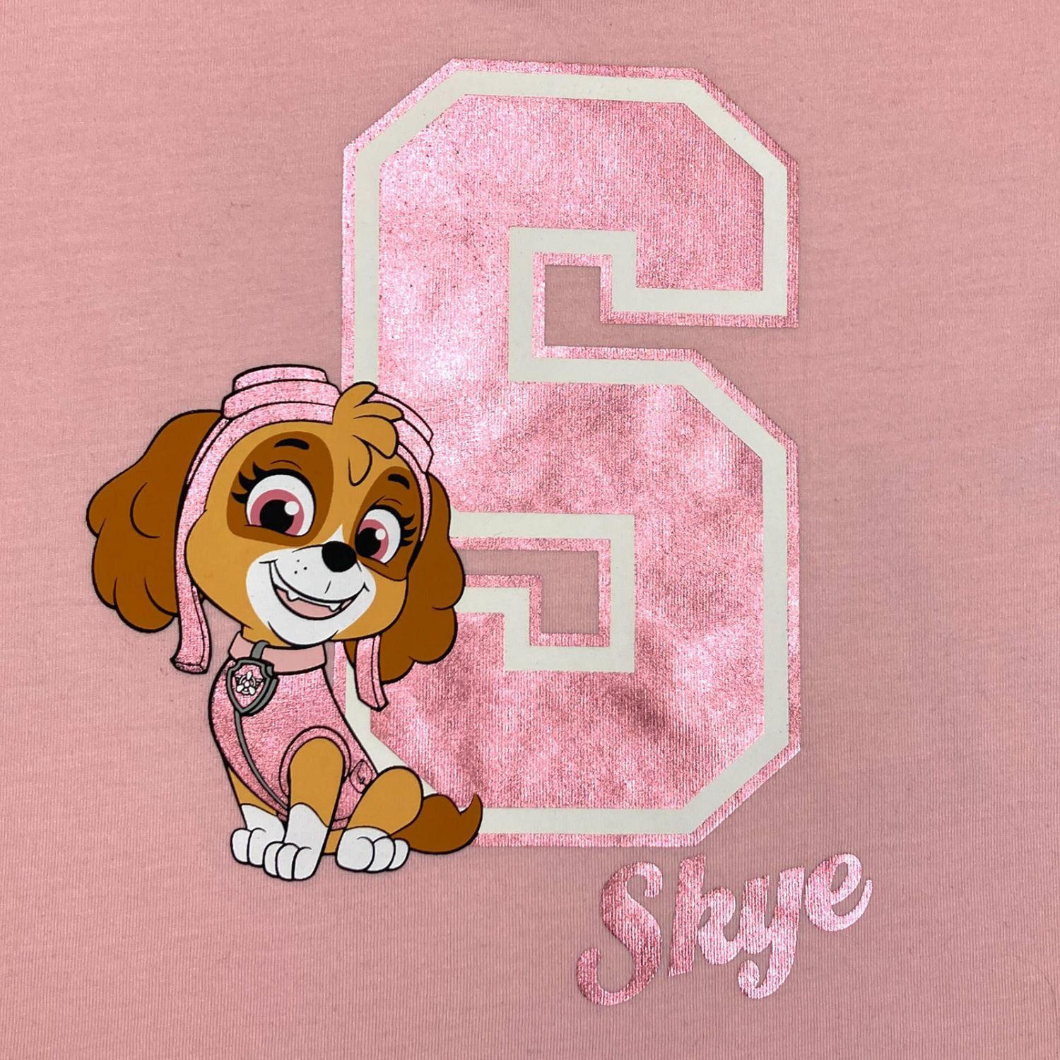 Paw Patrol Toddler Girls Jersey