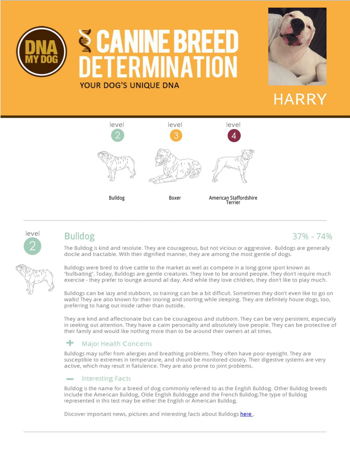 Dog clearance dna kit