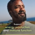 thumbnail image 4 of NATURE'S BOUNTY Vitamin B12, Factor In Maintenance Of Good Health, Helps Form Red Blood Cells, Aids Immune System, Assorted Flavours Of Mixed Berry, Orange & Raspberry 75.0 count, 4 of 6
