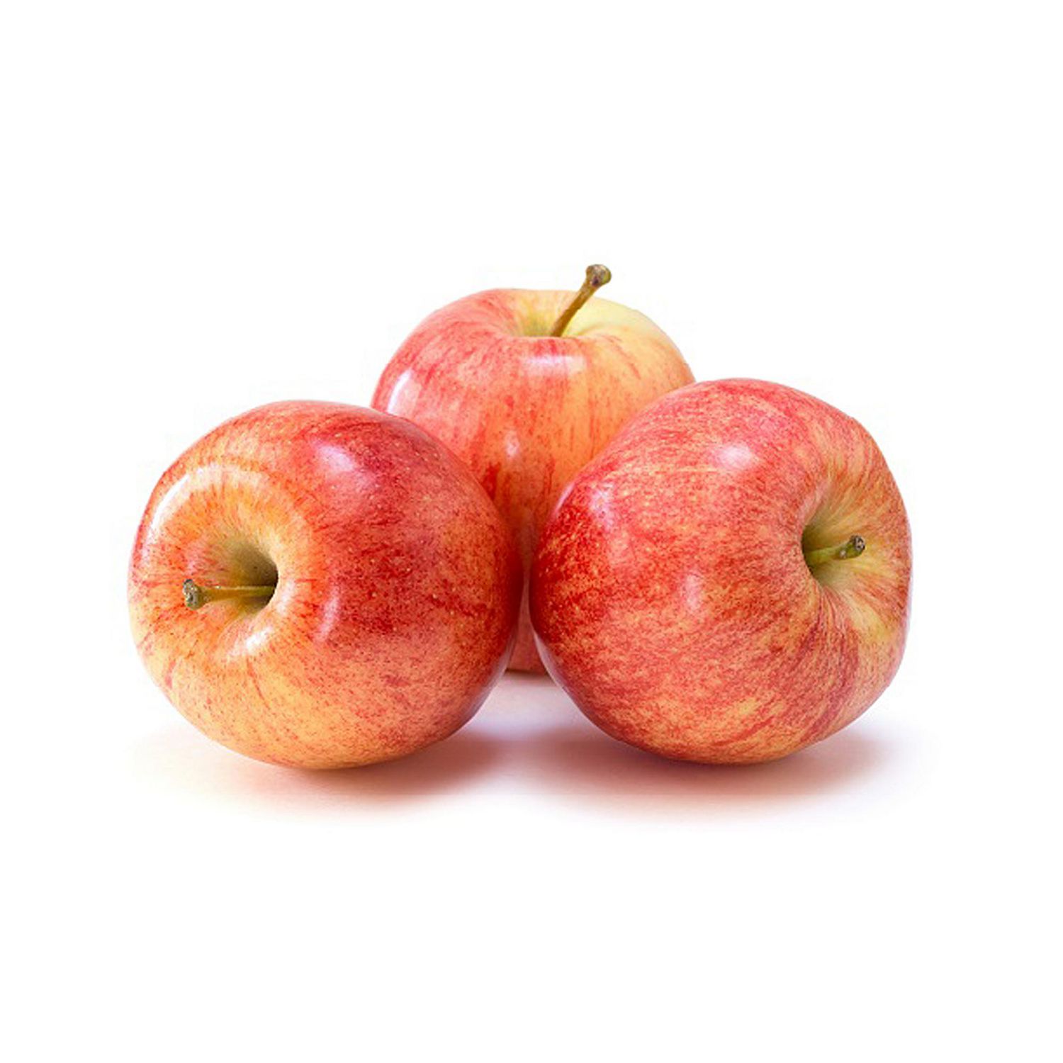 PC Organics Gala Apples, 3 lb Bag