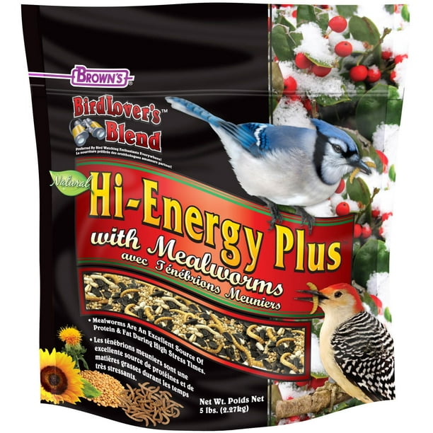 Alimentation pour oiseaux Hi-Energy Plus avec tenebrions meuniers Bird Lover's Blend 2,27 kg
