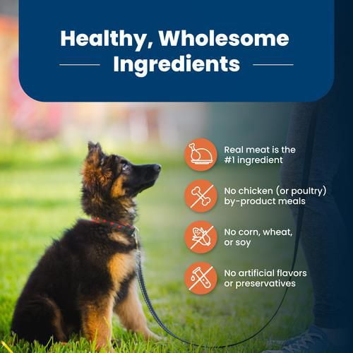 Blue Buffalo Life Protection Formula Natural Puppy Large Breed Dry Dog Food Chicken and Brown Rice 4.5kg 9.9kg Walmart