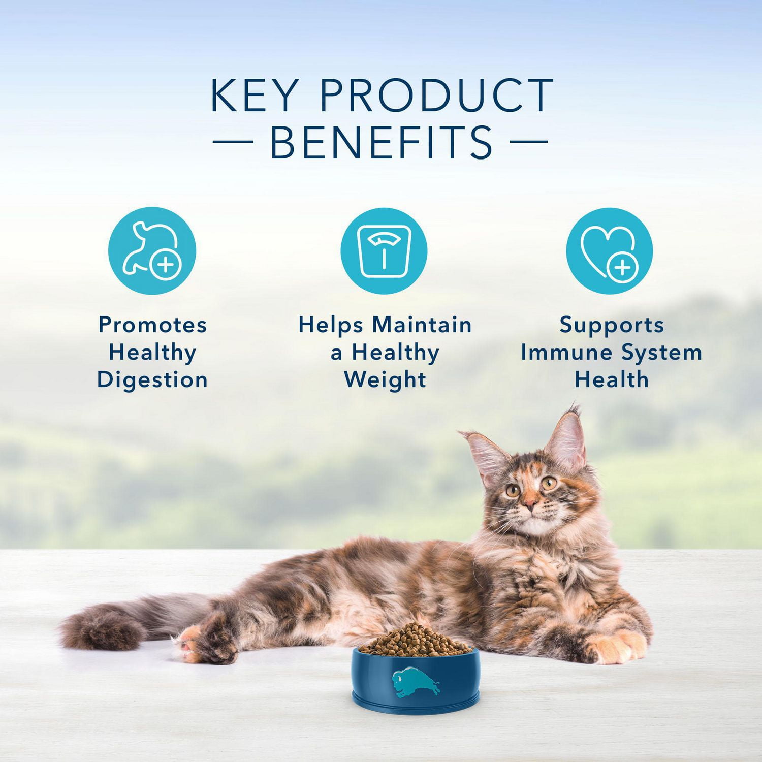 Natural health cat food sale