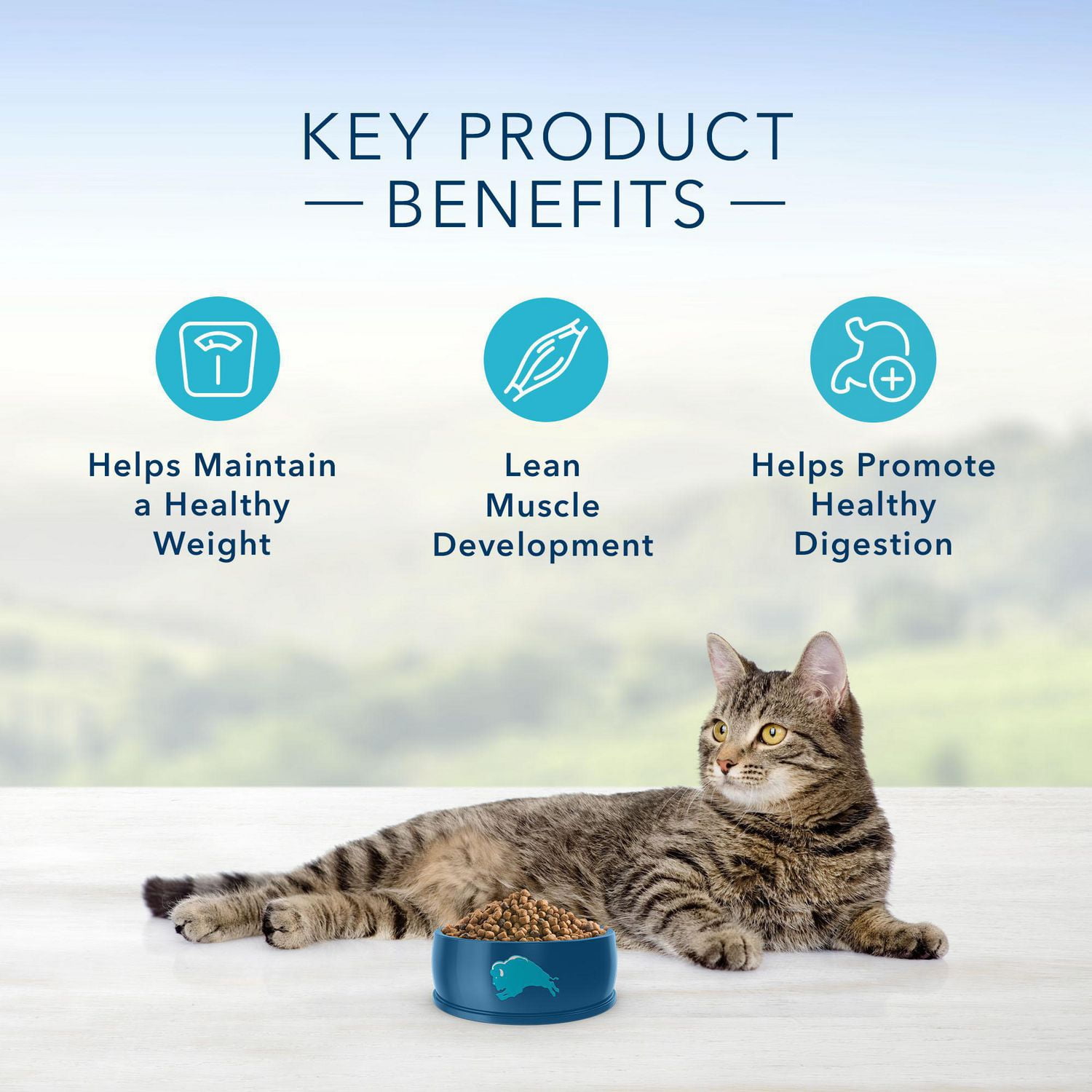 Blue buffalo weight management cat food best sale