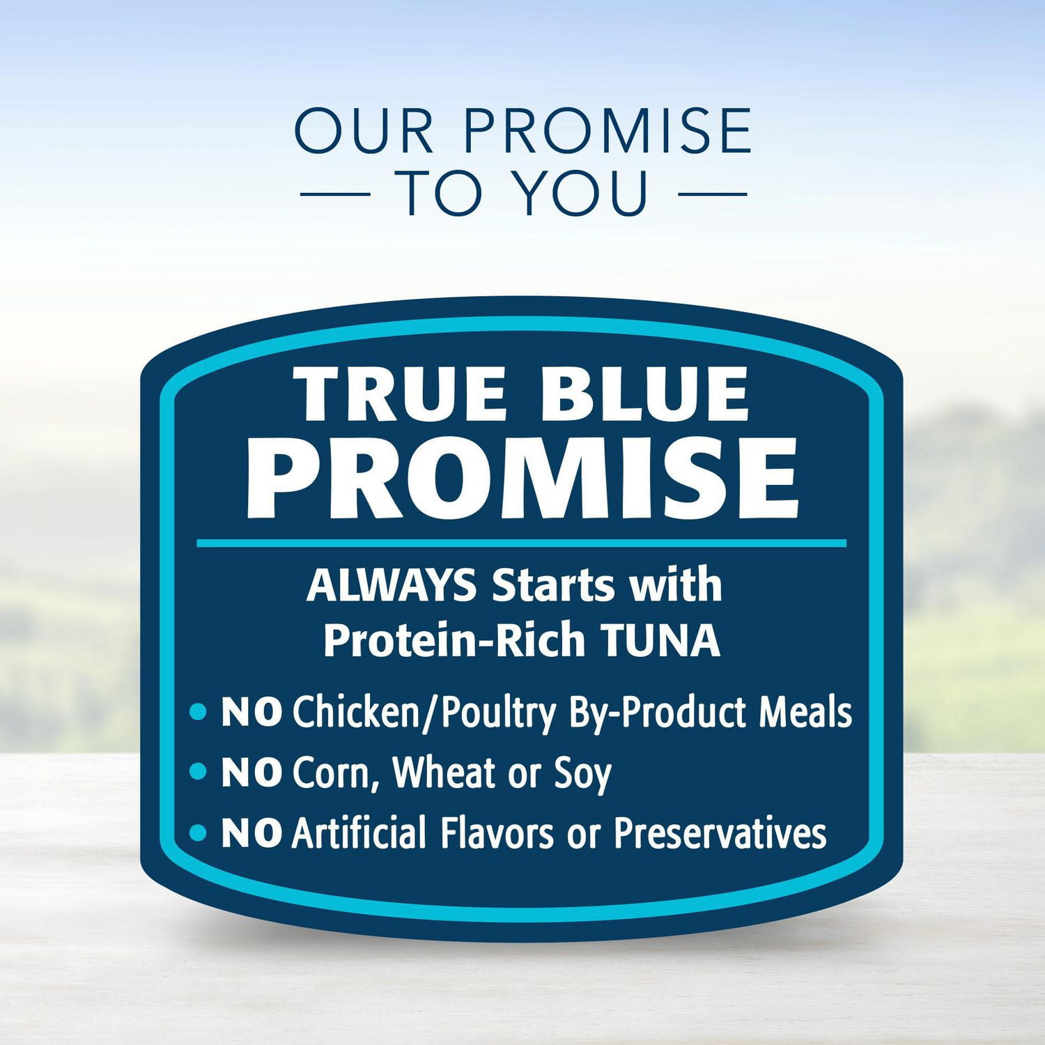 BLUE Healthy Gourmet Flaked Tuna Entree Wet Cat Food Walmart